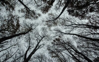 Recommended. He now, but what nations